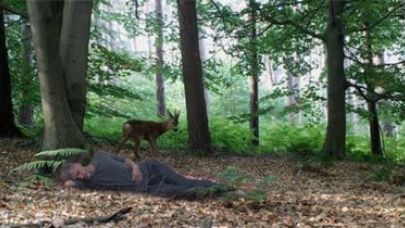 Le dormeur éveillé