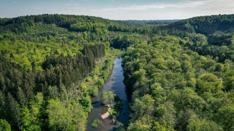 J'irai randonner chez vous  : Les hauteurs de la Vallée de la Semois avec Mathieu