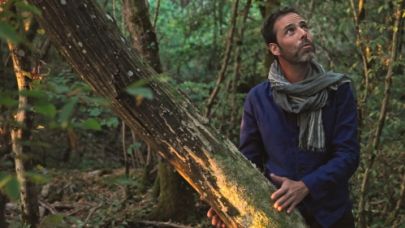 La sagesse de nos arbres