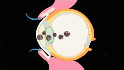 La larme à l'oeil
