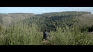 Entre chien et loup