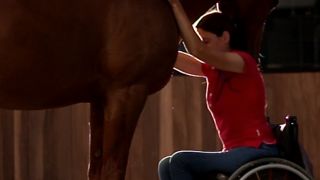 Remède de cheval