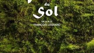 La Vérité du Sol
